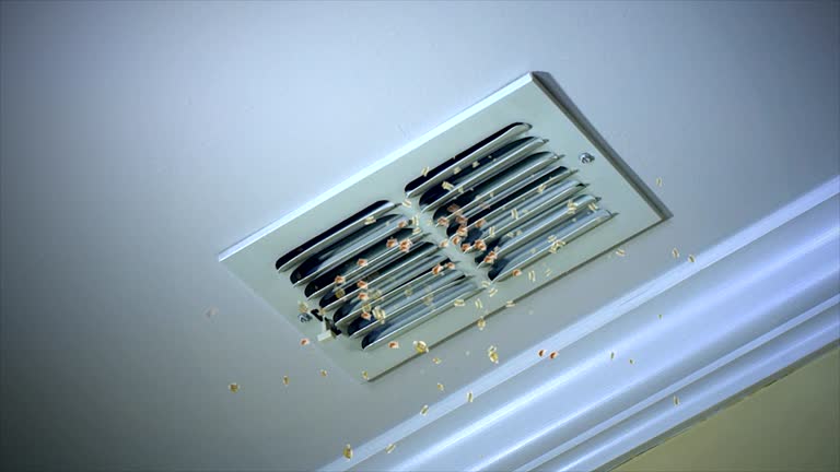Best Local Air Duct Cleaning Services  in Pleasanton, CA
