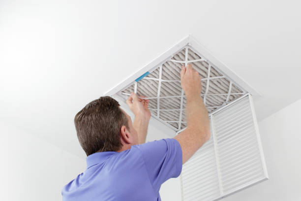 Air Duct Mold Removal in Pleasanton, CA
